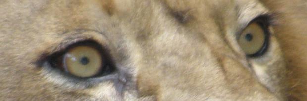 pc150926.jpg