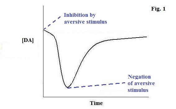 fig. 1 - da vs time in down-da neurons