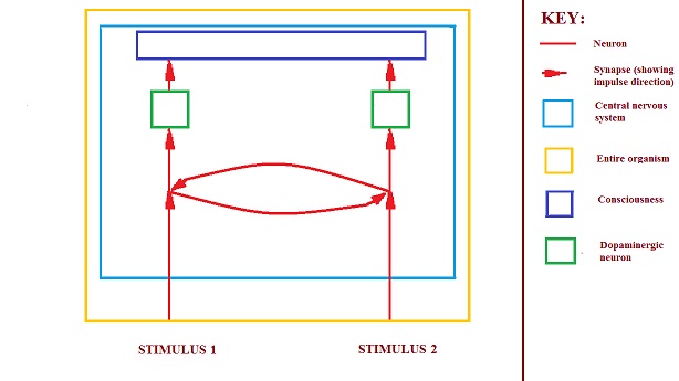 generalised concept