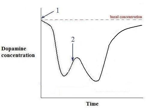 pain - 2 hits dopamine conc vs. time