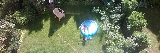 garden.jpg